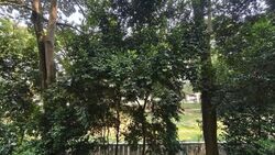 Blk 330 Kampung Ubi Estate (Geylang), HDB 5 Rooms #636964821